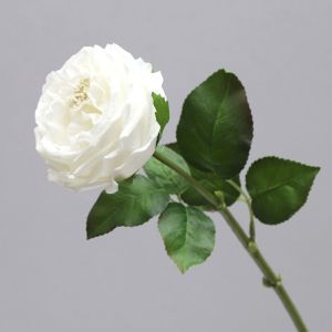 Artificial Blush Pink English Rose Stem