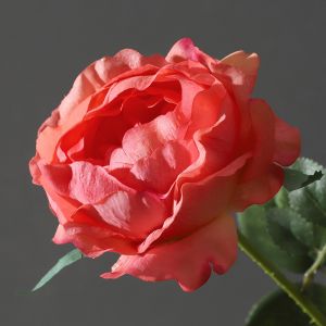 Vibrant Artificial Rose Peony Stem