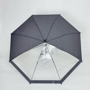 Rain Umbrella with Transparent Panel