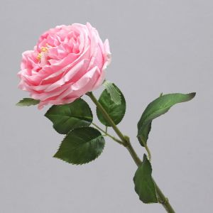 Artificial Blush Pink English Rose Stem