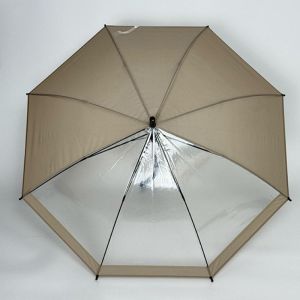 Rain Umbrella with Transparent Panel